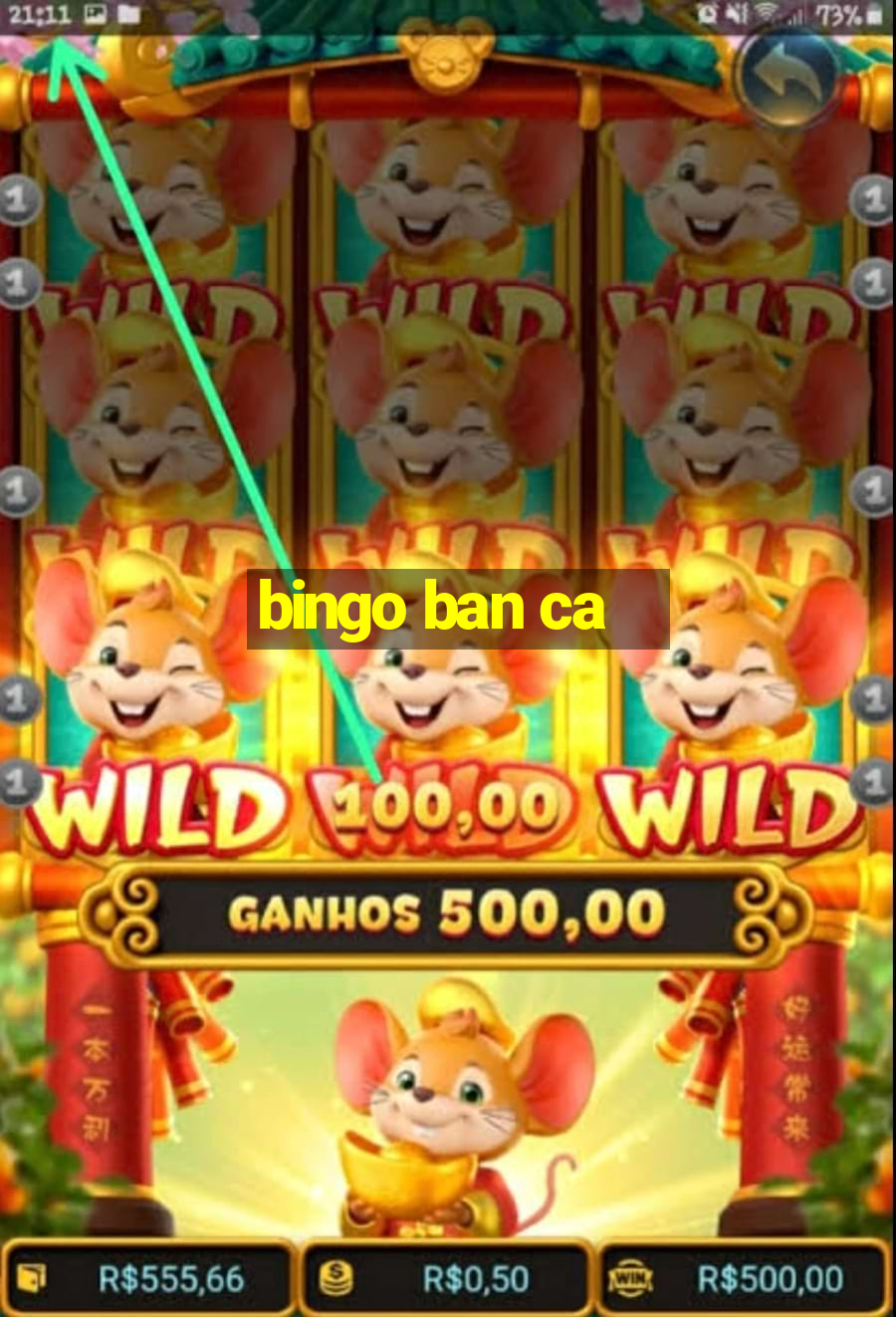 bingo ban ca