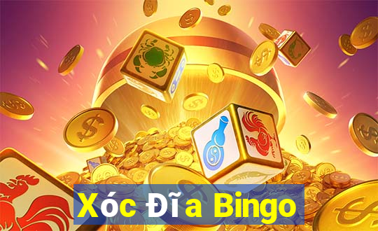 Xóc Đĩa Bingo