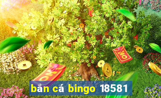 bắn cá bingo 18581