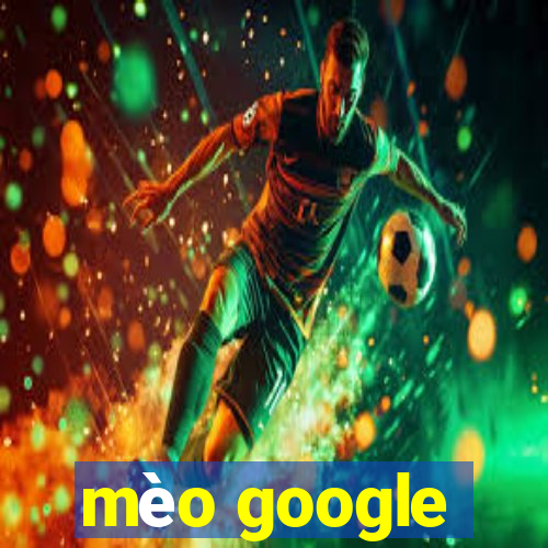 mèo google