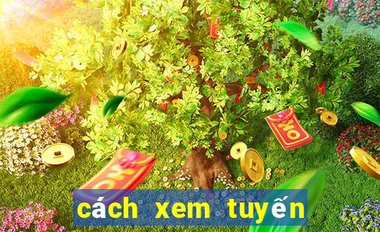 cách xem tuyến xe buýt trên google map